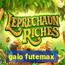 galo futemax